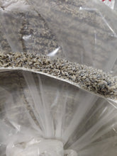 Load image into Gallery viewer, 78oz carpet special 12ft multitone grey tonal 12 by 129ft $2.49sqft or $3.75 installed with pad Truly Carpet and Vinyl Flooring 
