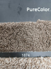 Load image into Gallery viewer, Dream Weaver Carpet airwaves e 100 25 oz $1.09 sqft Carpet Dreamweaver 
