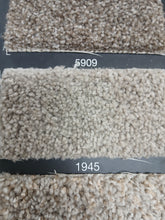 Load image into Gallery viewer, Dream Weaver Carpet airwaves e 100 25 oz $1.09 sqft Carpet Dreamweaver 
