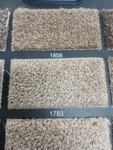 Load image into Gallery viewer, Dream Weaver Carpet airwaves e 100 25 oz $1.09 sqft Carpet Dreamweaver 
