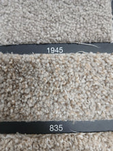 Load image into Gallery viewer, Dream Weaver Carpet airwaves e 100 25 oz $1.09 sqft Carpet Dreamweaver 
