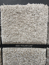 Load image into Gallery viewer, Dream Weaver Carpet Blazer 3 6375 75oz, Blazer 2 6360 60oz,Blazer 1 6340 40oz Carpet Dreamweaver 
