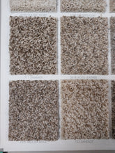 Load image into Gallery viewer, Sp251 Dreamweaver Carpet starting at $1.99sqft installed Truly Carpet and Vinyl Flooring 
