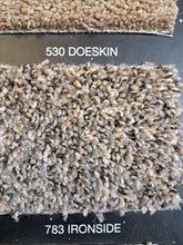 Load image into Gallery viewer, Dream Weaver Carpet sp250 25 oz $1.19 sqft Truly Carpet and Vinyl Flooring 
