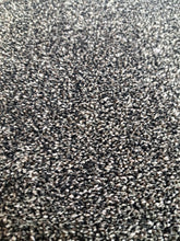 Load image into Gallery viewer, Shaw Carpet Because We Can 2 $2.49 sqft Truly Carpet and Vinyl Flooring 
